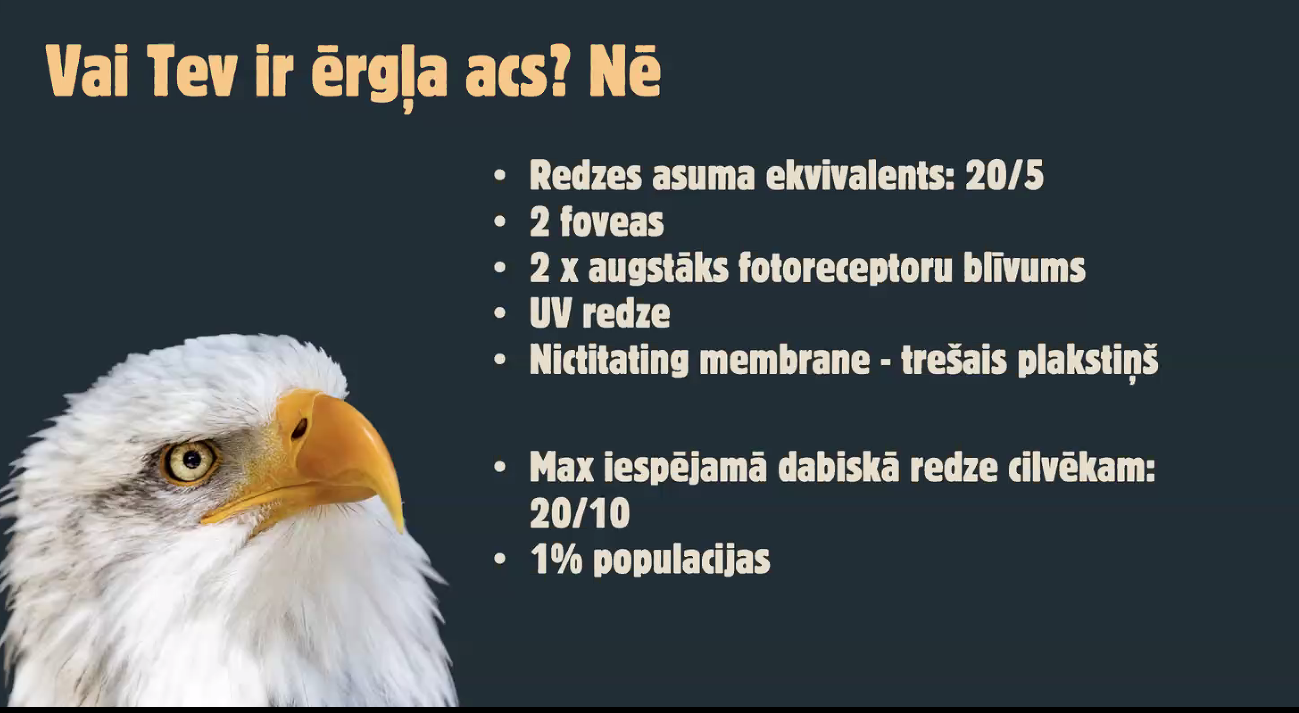 titulbilde