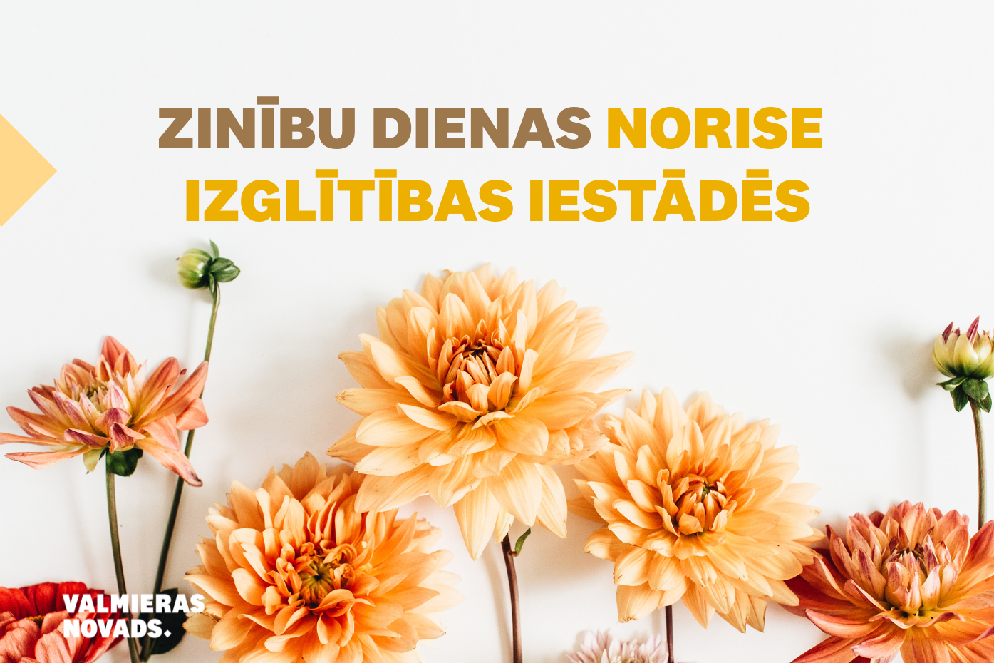 Zinību dienas norise izglītības iestādēm
